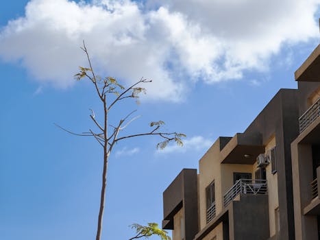 Unpacking the “$1 a Day” Promise: Real Protection for Pocket Change?