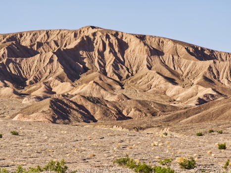 Unlocking the Nuances of “us assure insurance”: Beyond the Brand Name