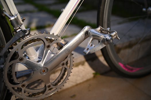 The “Vida Lifestyle”: Less About Trends, More About Thriving