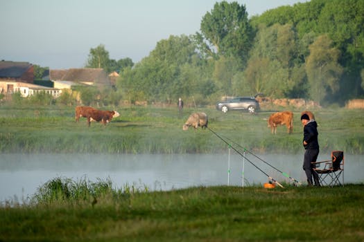 Unpacking the Nuances of Bear River Car Insurance: A Detailed Examination