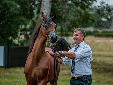 Beyond the Brush: Unlocking Breed-Specific Grooming Secrets