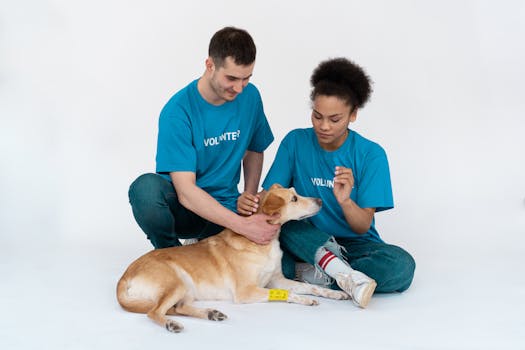 Unlock a Lifetime of Love: Why You Should Adopt a Pet from a Shelter