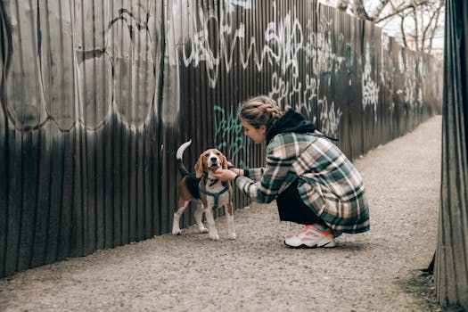 Decoding Canine Character: The Real Scoop on Dog Breed Personality Traits