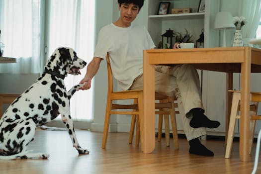 Dog Obedience Training: Taming the Tiger (Without the Stripes)