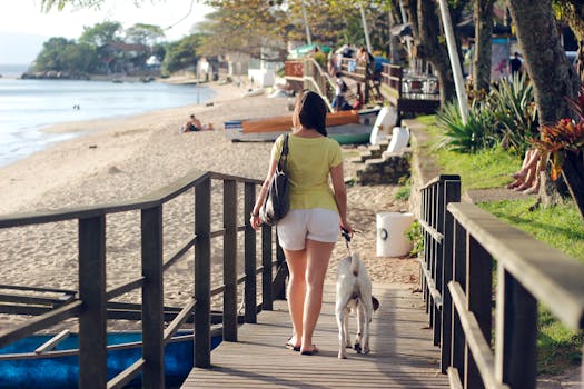 Decoding the Ideal Pet Carrier for Seamless Journeys