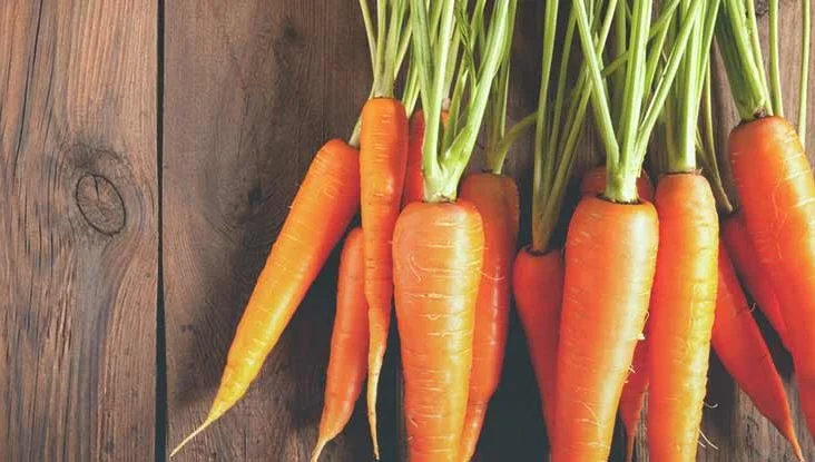 Several men’s Health Benefits Can Be Derived From Carrots