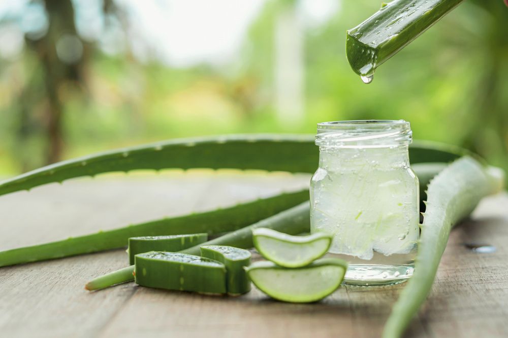Men Can Benefit From Aloe Vera Juice in a Variety of Ways
