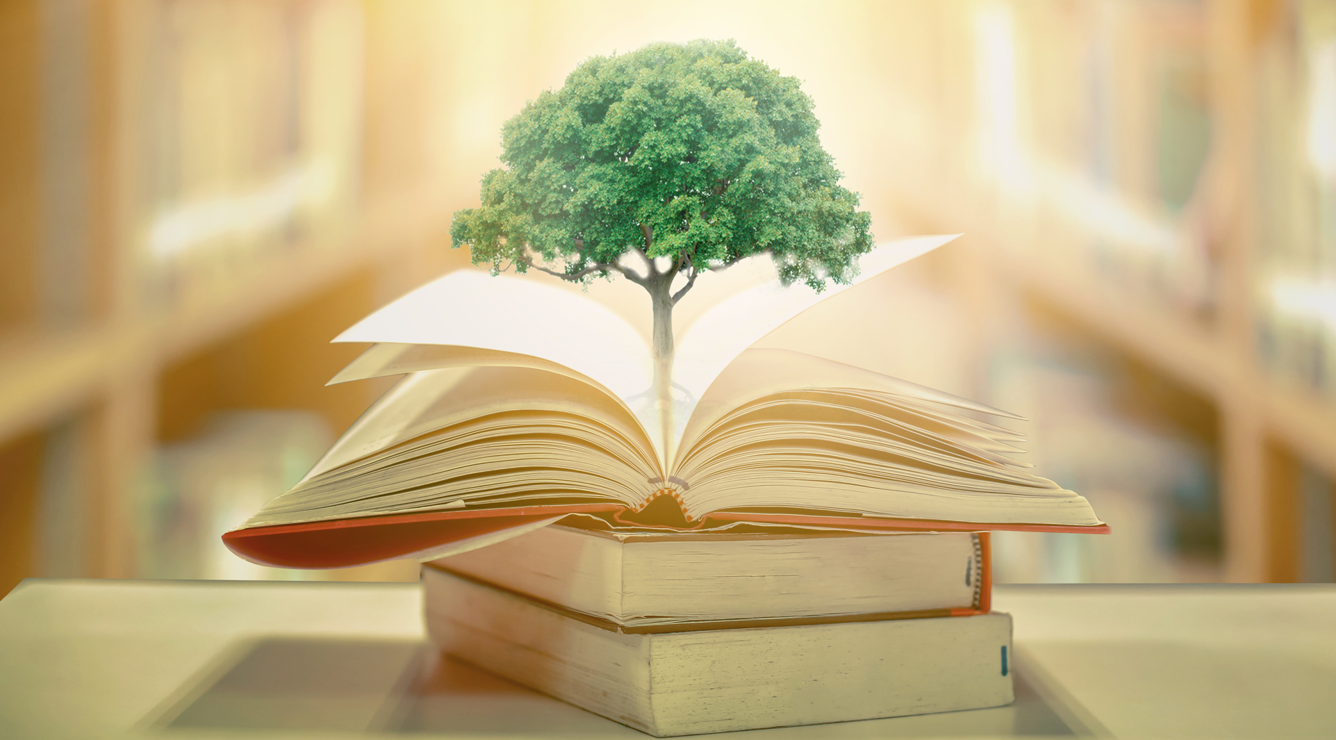 Investing in the education sector