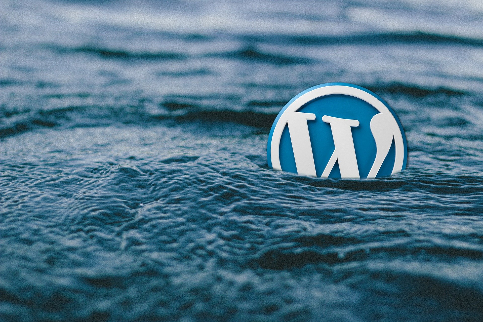 Easy Steps for You To Learn Renaming Images and Media Files in WordPress
