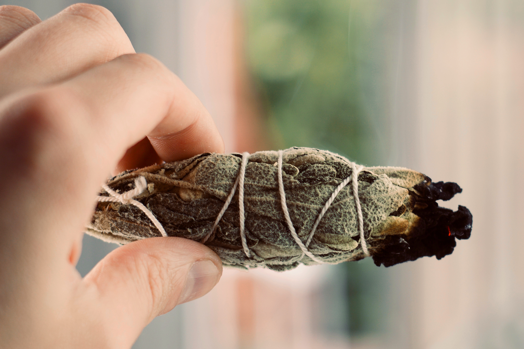 Health Benefits and Uses of Sage Herbal Supplement