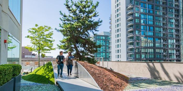 Dental Offices Hiring near Me: Unlock Your Dream Job Today!