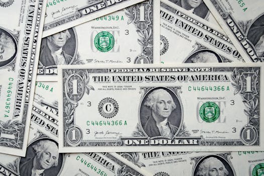 George Washington: More Than Just a Portrait on a Bill