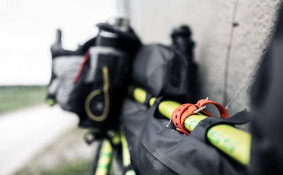 Beyond the Bull: What a Wall Street Tour Really Teaches You