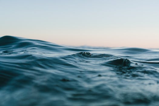Navigating the Digital Deluge: Strategic Imperatives in an Ecosystem of 28 Million eCommerce Websites