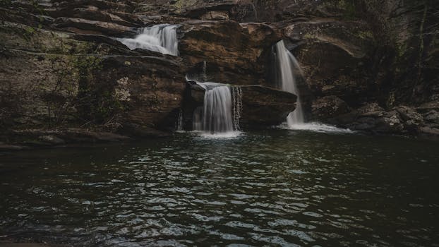 Navigating the Landscape of Delta 9 THC: What You Need to Know