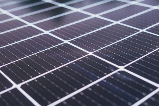 Beyond the Buzzword: Deconstructing the True Essence of “Sustain”