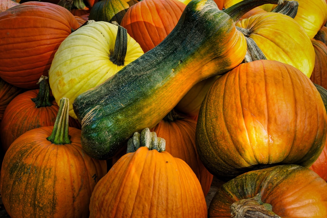 The Rise of Micro Startups: Reshaping Local Economies in 2025